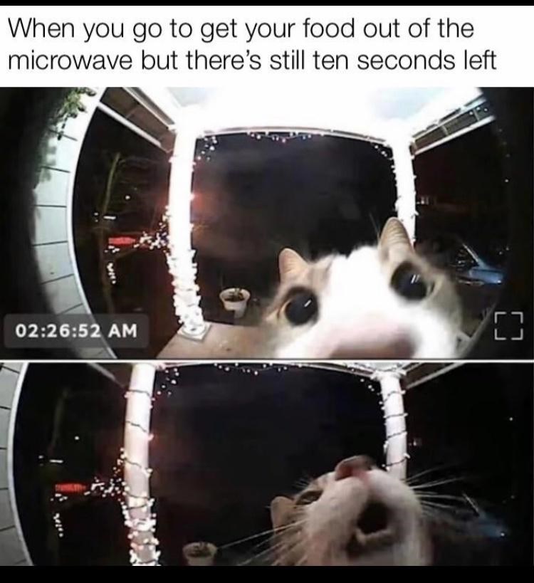 Fotografía - Cuando vas a sacar la comida del microondas pero aún quedan diez segundos 02:26:52 AM C רח LJ